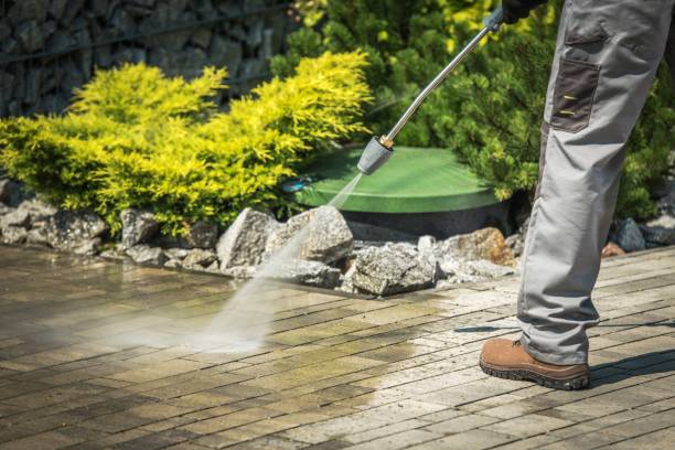 Best Solar Panel Cleaning  in Daniel, UT