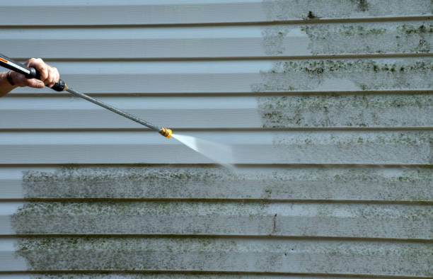 Best Roof Washing  in Daniel, UT